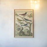 Bird Drawing IV Crop by Wild Apple Portfolio. shown as a paper print in a natural frame. Available as a archival giclee rolled canvas, fine art paper, or poster print. SKU 15815h.