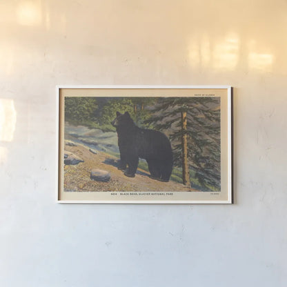 Black Bear I Crop by Wild Apple Portfolio. shown as a paper print in a white frame. Available as a archival giclee rolled canvas, fine art paper, or poster print. SKU 70114i.
