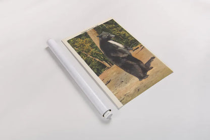 Black Bear II by Wild Apple Portfolio. shown as a rolled paper print. Available as archival giclee rolled canvas, fine art paper, or poster print. SKU 96706h.