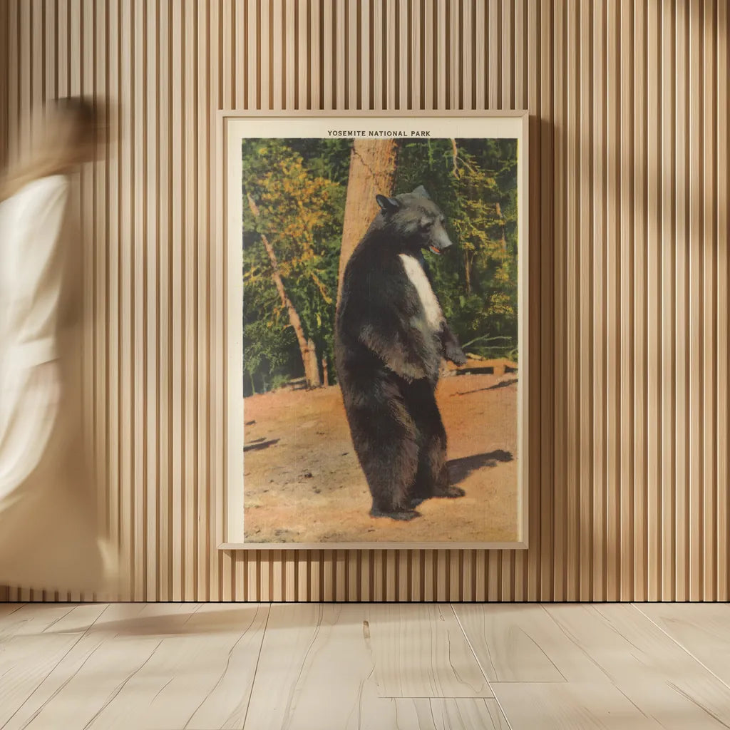 Black Bear II by Wild Apple Portfolio. shown as over sized large wall art. Available as an archival giclee rolled canvas, fine art paper, or poster print. SKU 96706h.