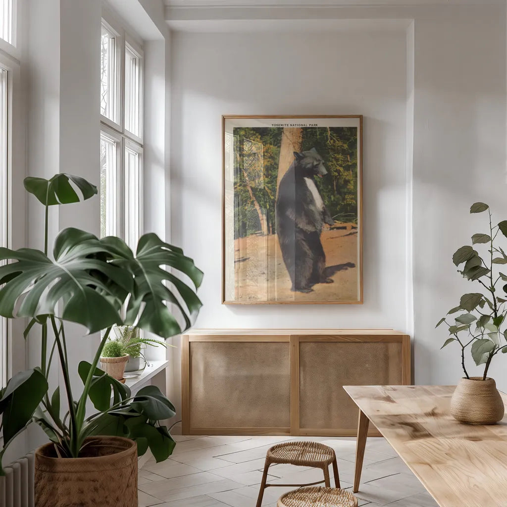 Black Bear II by Wild Apple Portfolio. shown as a print in a natural wood frame in a dining room. Available as a archival giclee rolled canvas, fine art paper, or poster print. SKU 96706h.
