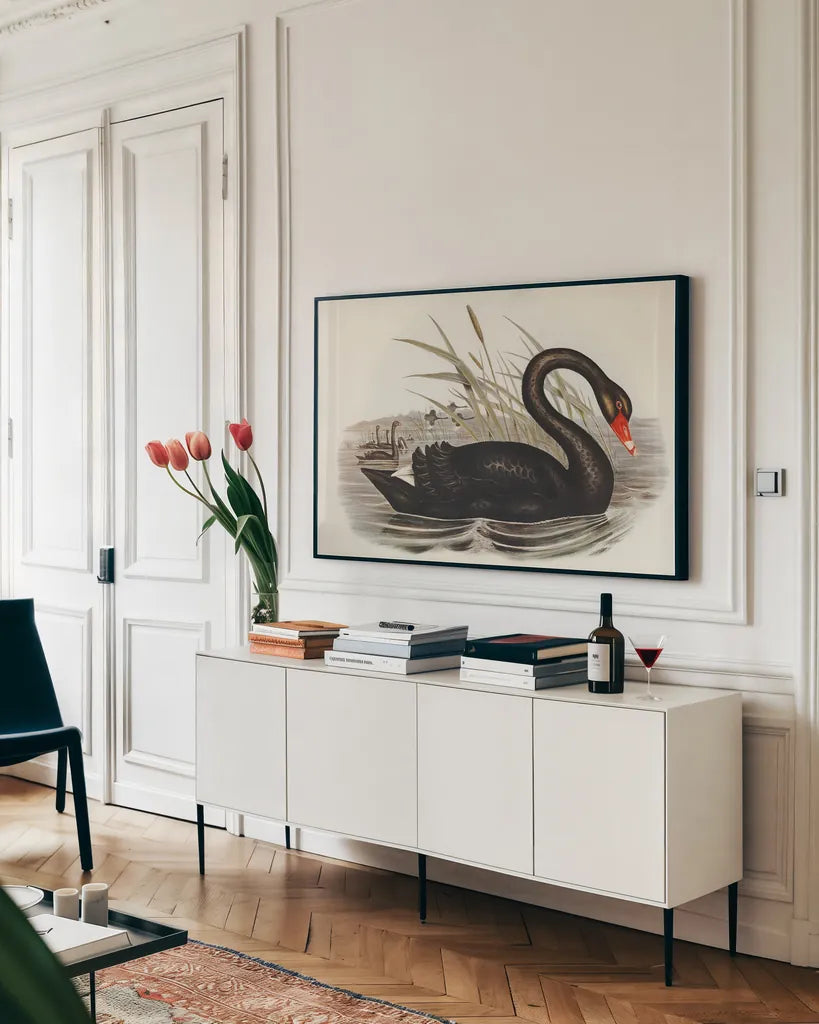 Black Swan Vintage Book by Wild Apple Portfolio. shown as a framed stretched canvas in a living room above a console. Available as a archival giclee rolled canvas, fine art paper, or poster print. SKU 101600i.