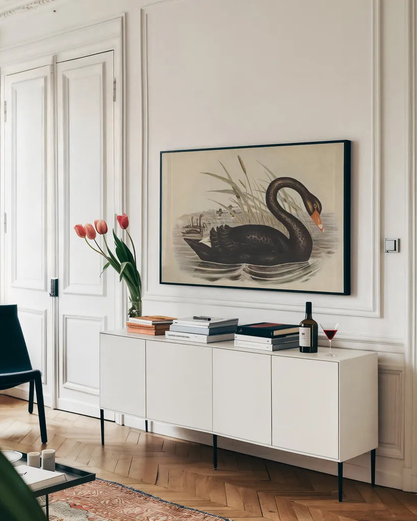 Black Swan Vintage Book Aged by Wild Apple Portfolio. shown as a framed stretched canvas in a living room above a console. Available as a archival giclee rolled canvas, fine art paper, or poster print. SKU 101601i.