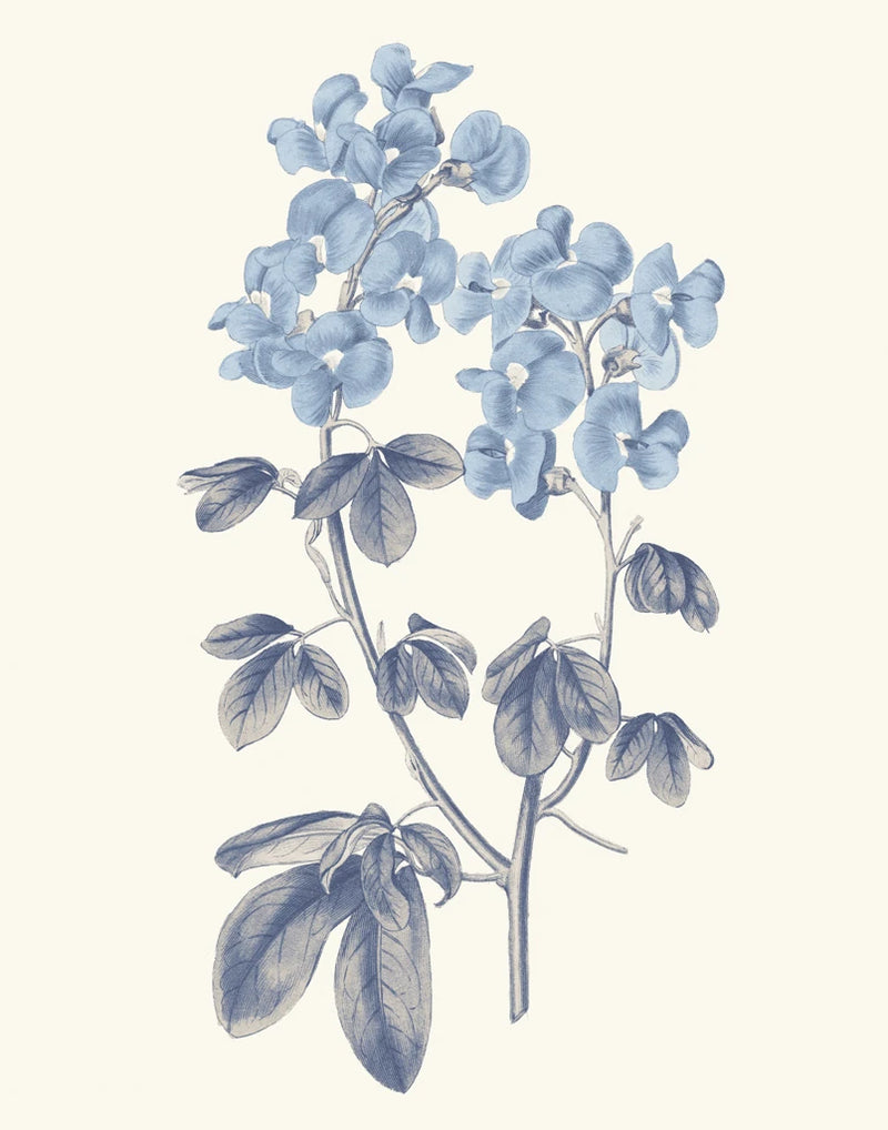 Blue Botanical III by Wild Apple Portfolio