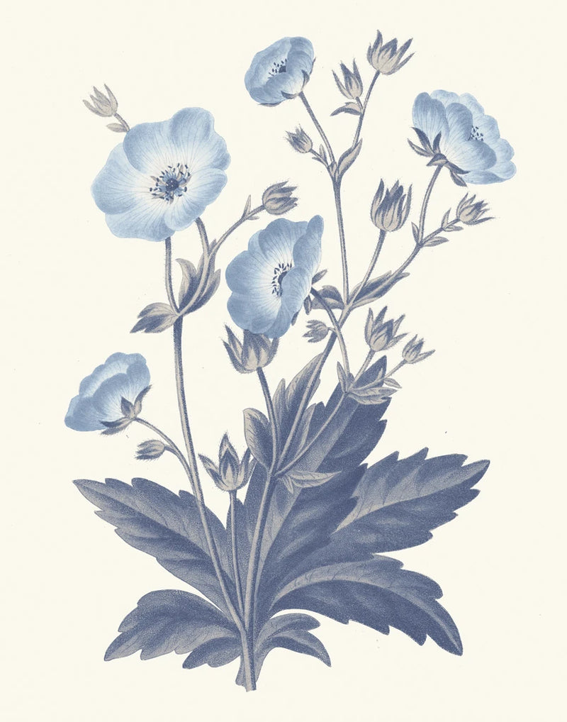 Blue Botanical VI by Wild Apple Portfolio