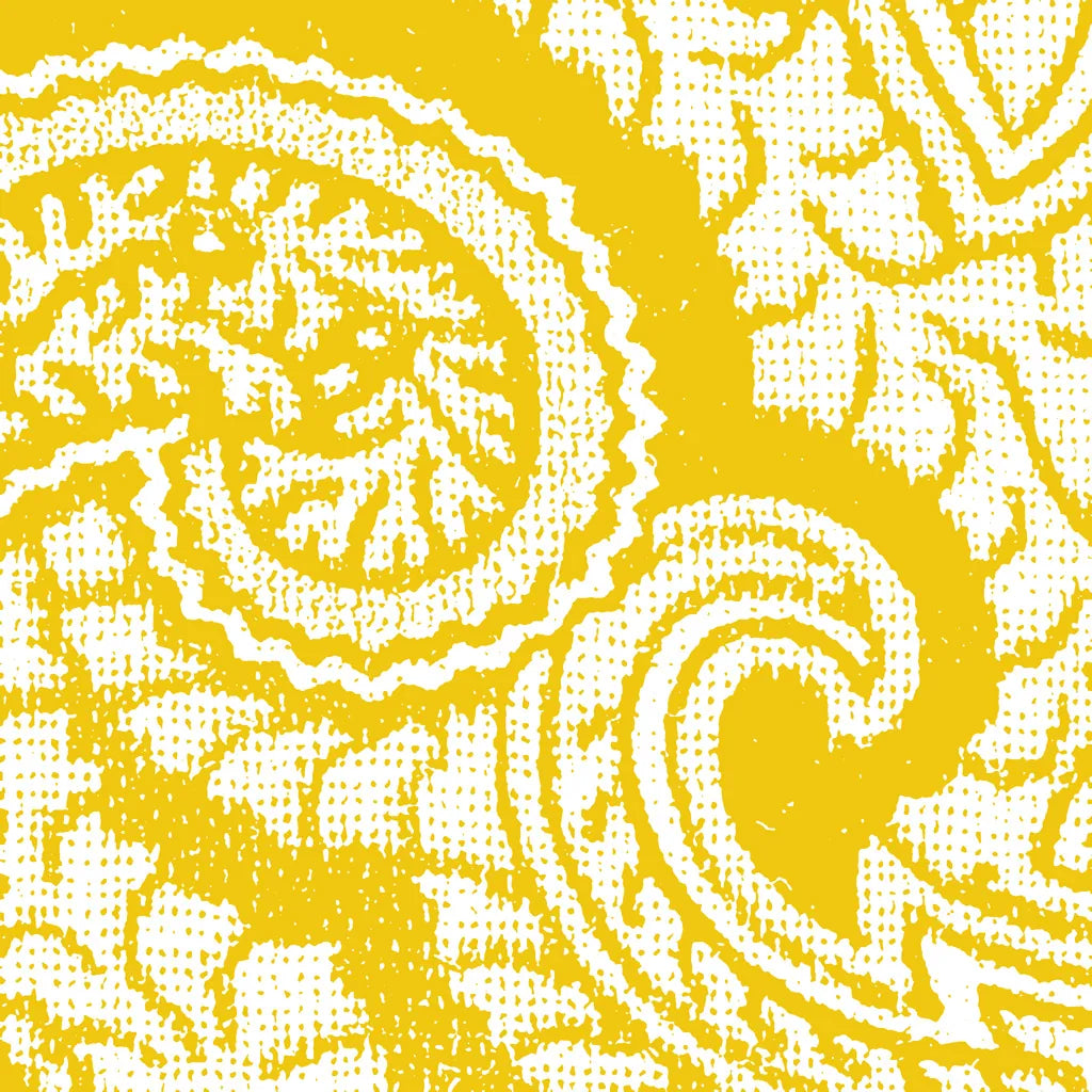 Boho Bright IV by Wild Apple Portfolio. SKU 45809a. Archival Giclee Fine art print for wall decor.