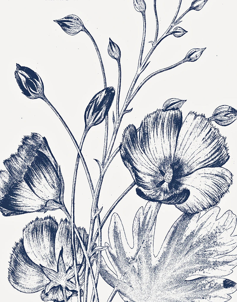 Botanical Beauty Chalk IX Blue on White Crop by Wild Apple Portfolio