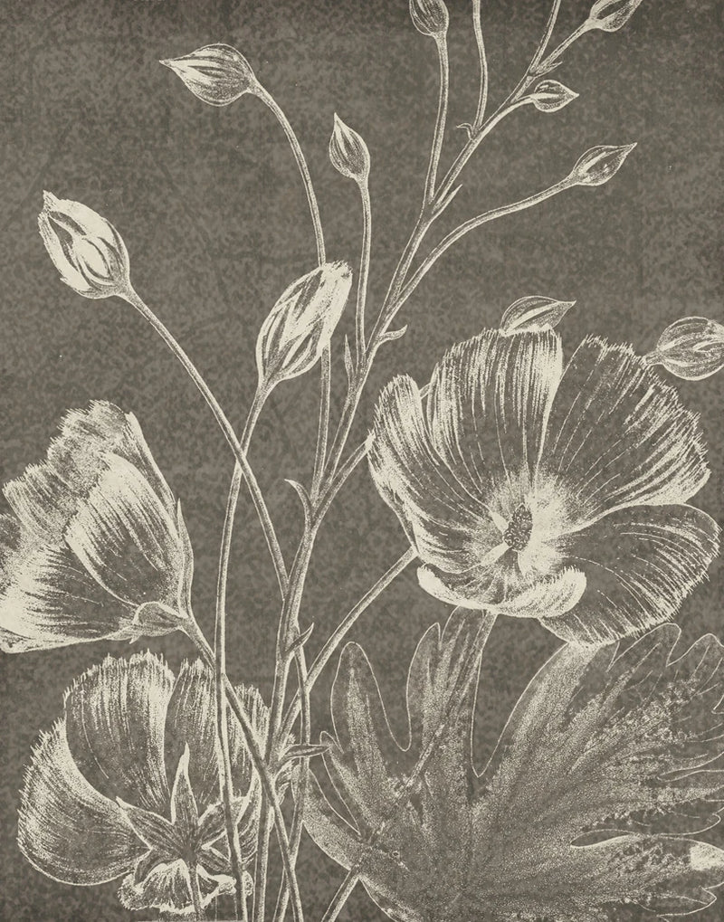 Botanical Beauty Chalk IX Crop by Wild Apple Portfolio