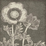 Botanical Beauty Chalk Square II by Wild Apple Portfolio. SKU 14966a. Archival Giclee Fine art print for wall decor.