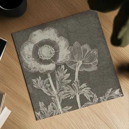 Botanical Beauty Chalk Square II by Wild Apple Portfolio. Shown as a detailed flat fine art print, highlighting archival giclee quality. Available as an archival giclee rolled canvas, fine art paper, or poster print. SKU 14966a.