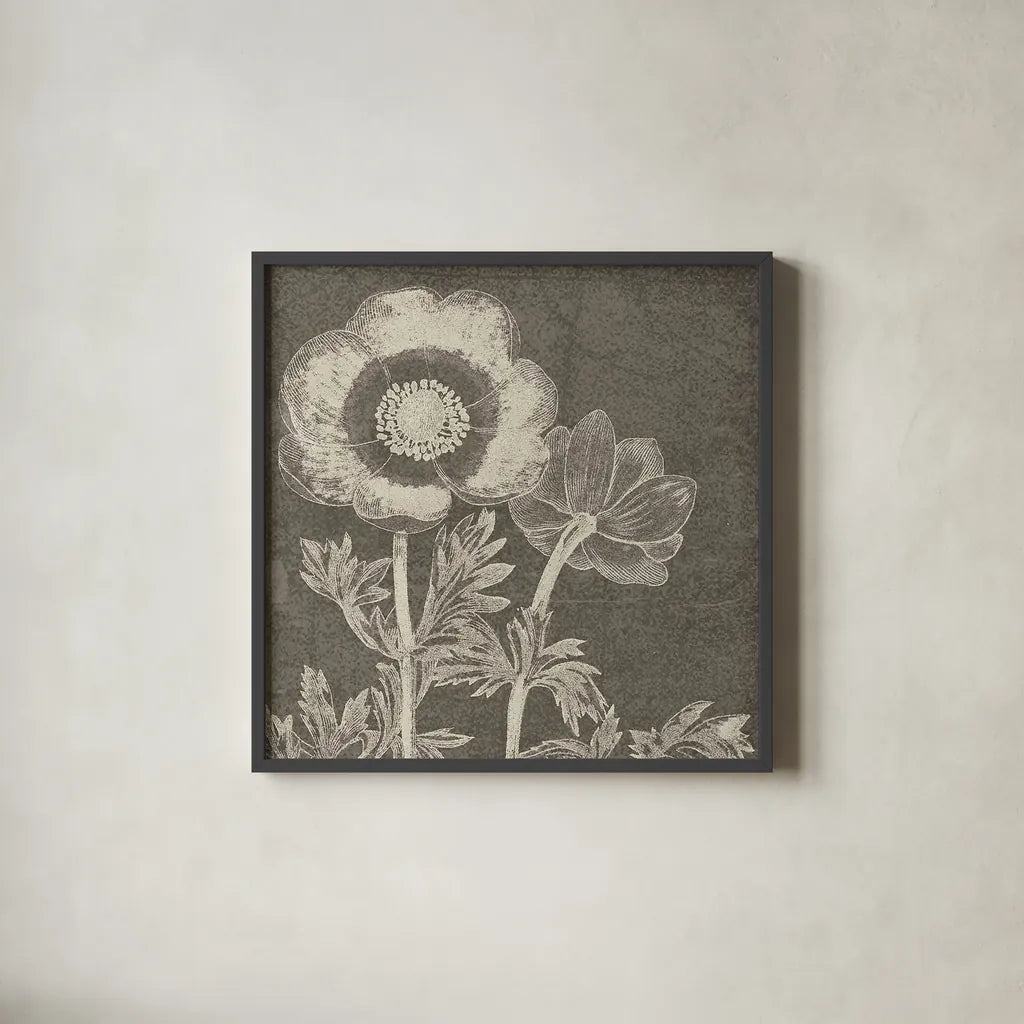 Botanical Beauty Chalk Square II by Wild Apple Portfolio. Shown in a sleek black glass frame for a contemporary gallery look. Available as an archival giclee rolled canvas, fine art paper, or poster print. SKU 14966a.