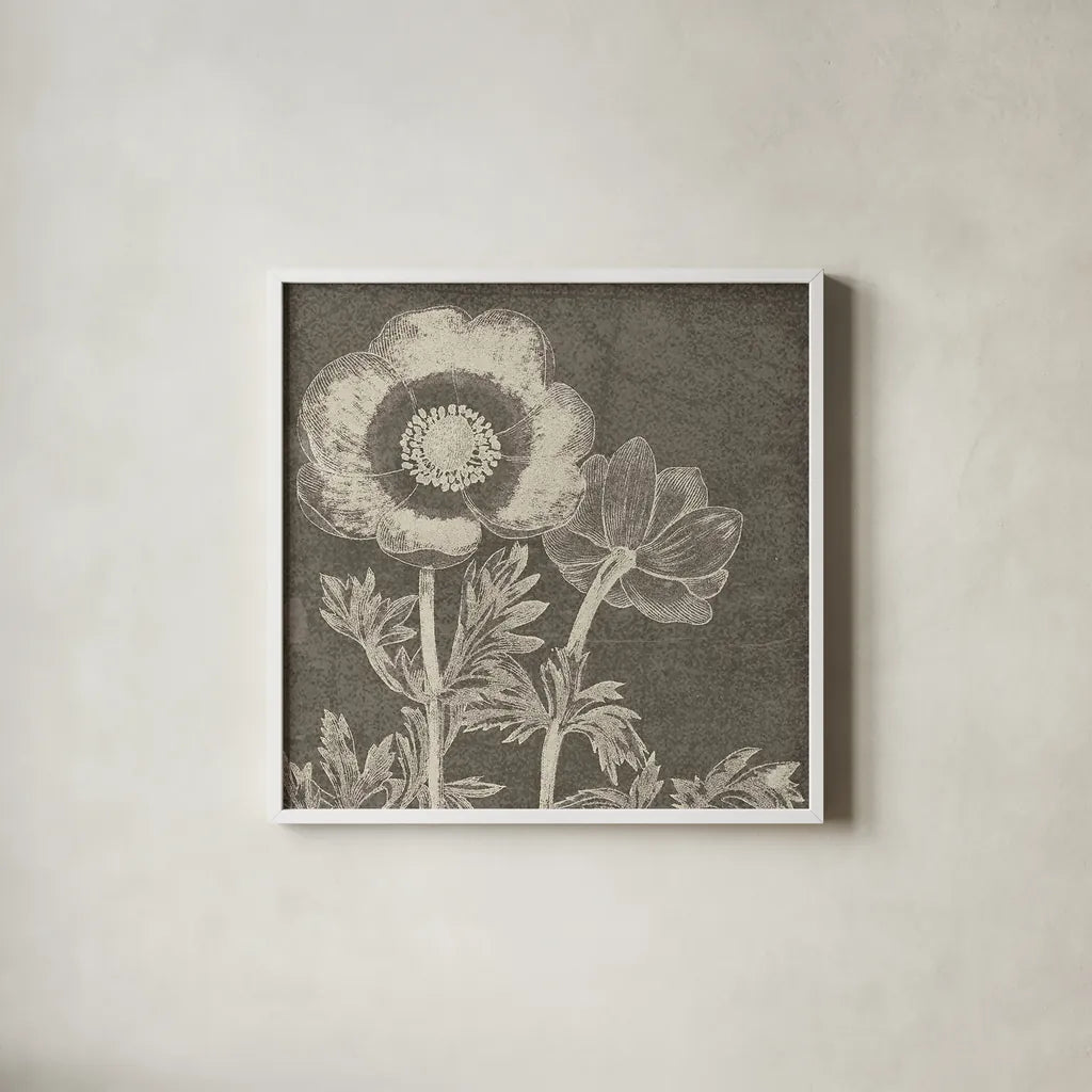 Botanical Beauty Chalk Square II by Wild Apple Portfolio. Shown in a crisp white glass frame for a clean and minimalist style. Available as an archival giclee rolled canvas, fine art paper, or poster print. SKU 14966a.
