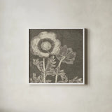 Botanical Beauty Chalk Square II by Wild Apple Portfolio. Shown in a crisp white glass frame for a clean and minimalist style. Available as an archival giclee rolled canvas, fine art paper, or poster print. SKU 14966a.