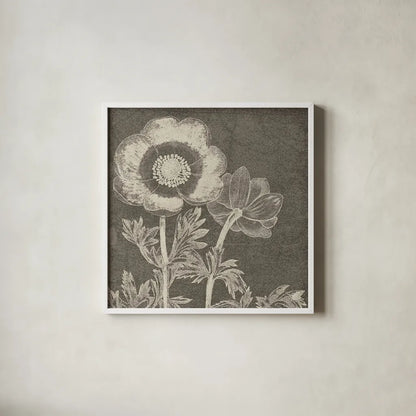 Botanical Beauty Chalk Square II by Wild Apple Portfolio. Shown in a crisp white glass frame for a clean and minimalist style. Available as an archival giclee rolled canvas, fine art paper, or poster print. SKU 14966a.