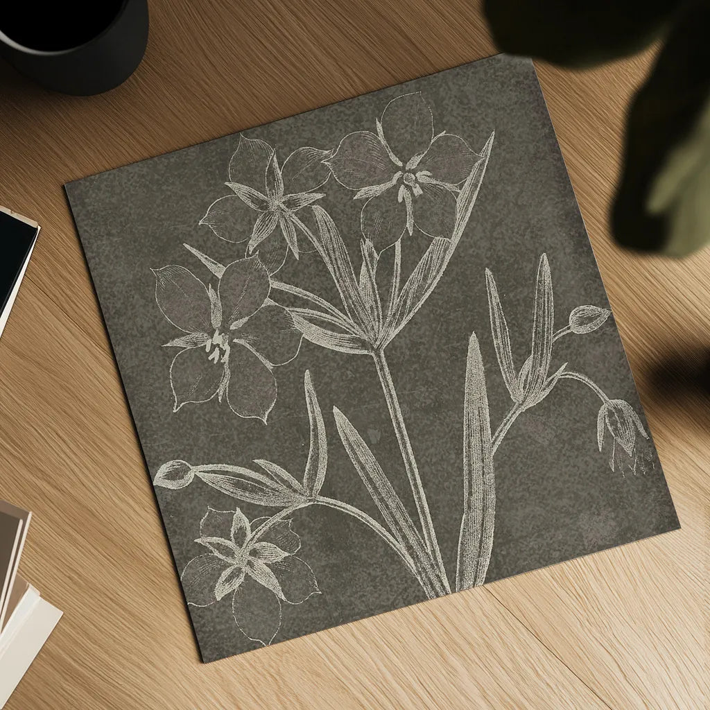 Botanical Beauty Chalk Square IV by Wild Apple Portfolio. Shown as a detailed flat fine art print, highlighting archival giclee quality. Available as an archival giclee rolled canvas, fine art paper, or poster print. SKU 14968a.