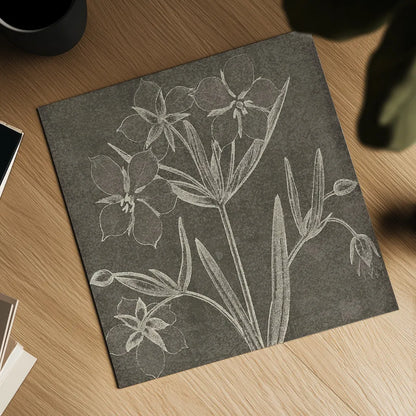 Botanical Beauty Chalk Square IV by Wild Apple Portfolio. Shown as a detailed flat fine art print, highlighting archival giclee quality. Available as an archival giclee rolled canvas, fine art paper, or poster print. SKU 14968a.