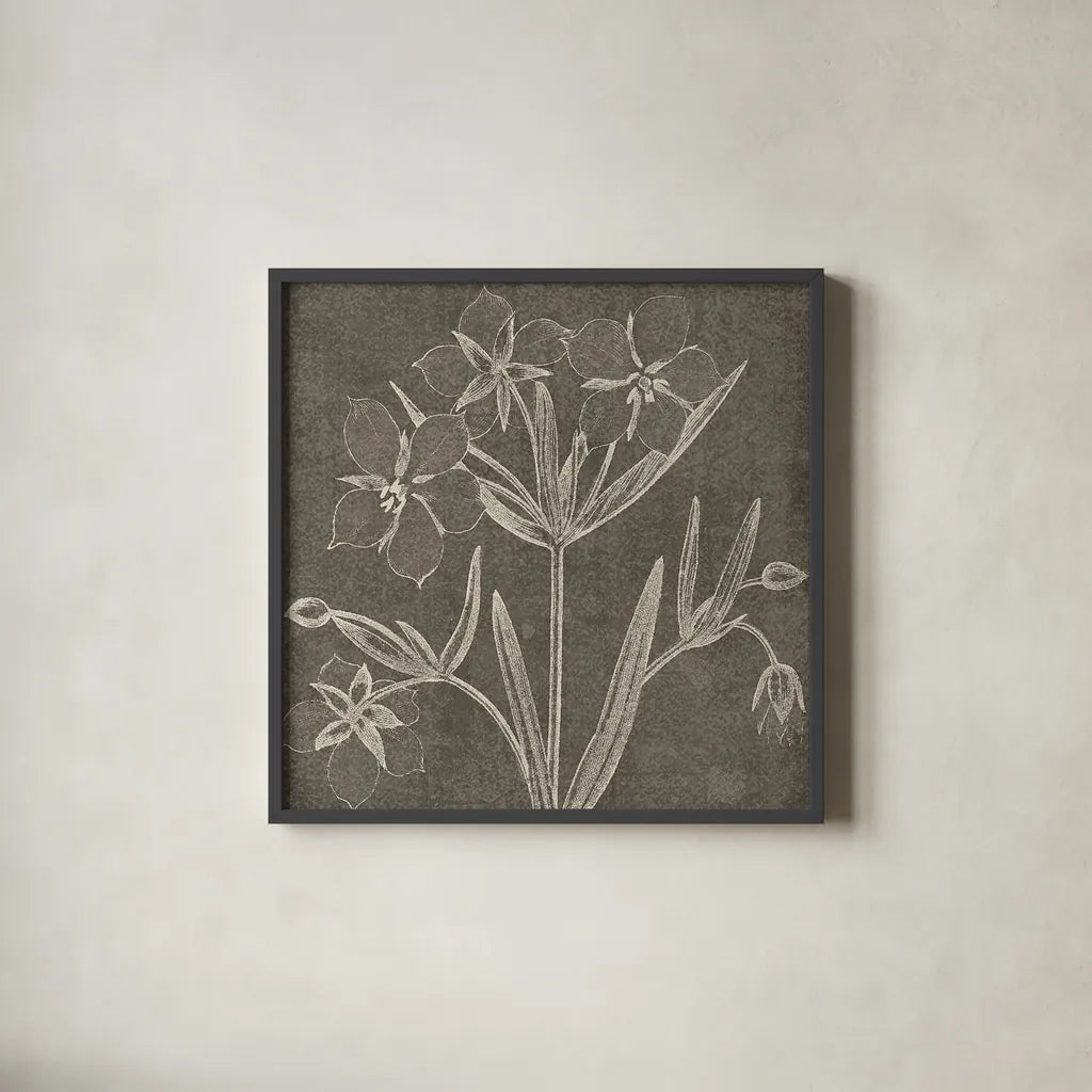 Botanical Beauty Chalk Square IV by Wild Apple Portfolio. Shown in a sleek black glass frame for a contemporary gallery look. Available as an archival giclee rolled canvas, fine art paper, or poster print. SKU 14968a.