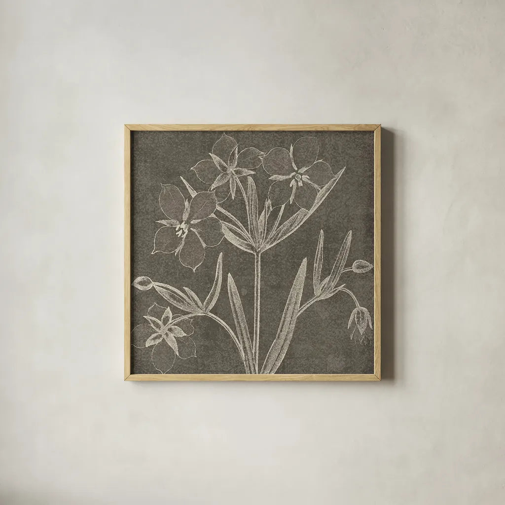 Botanical Beauty Chalk Square IV by Wild Apple Portfolio. Shown in a natural wood glass frame for a timeless modern aesthetic. Available as an archival giclee rolled canvas, fine art paper, or poster print. SKU 14968a.