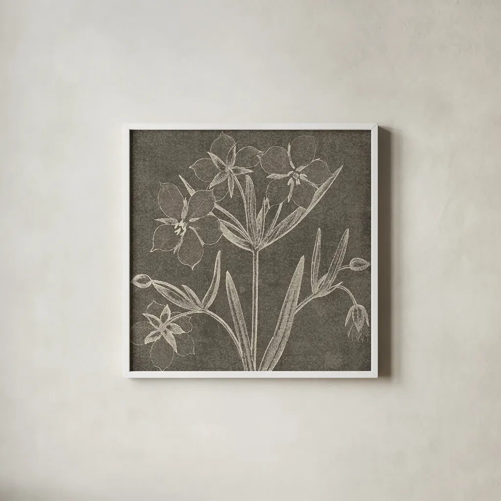 Botanical Beauty Chalk Square IV by Wild Apple Portfolio. Shown in a crisp white glass frame for a clean and minimalist style. Available as an archival giclee rolled canvas, fine art paper, or poster print. SKU 14968a.