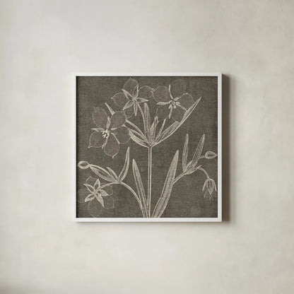 Botanical Beauty Chalk Square IV by Wild Apple Portfolio. Shown in a crisp white glass frame for a clean and minimalist style. Available as an archival giclee rolled canvas, fine art paper, or poster print. SKU 14968a.