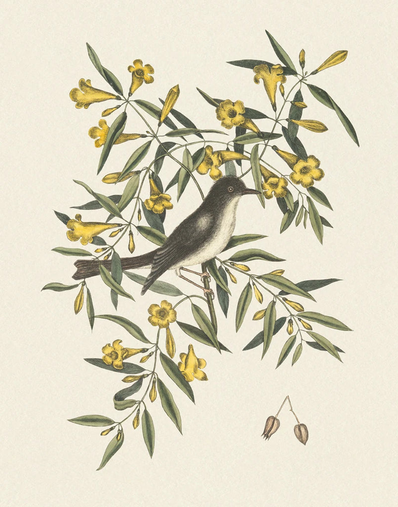 Botanical Bird I by Wild Apple Portfolio