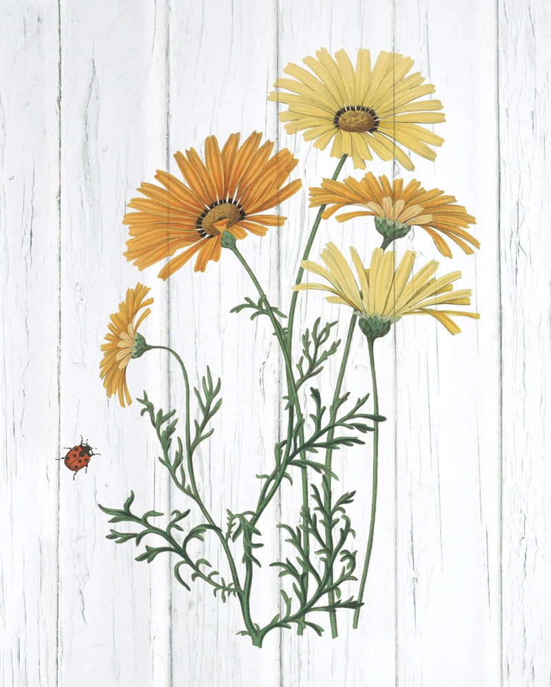 Botanical Bouquet on Wood I by Wild Apple Portfolio