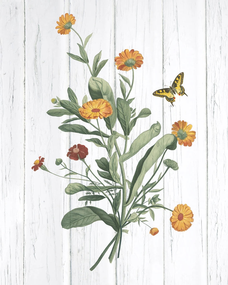 Botanical Bouquet on Wood IV by Wild Apple Portfolio