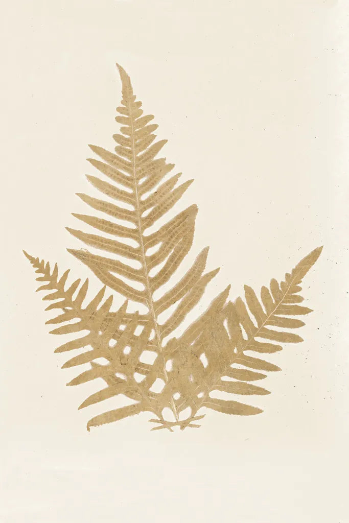 Botanical Fern XI Gold by Wild Apple Portfolio. SKU 57688h. Archival Giclee Fine art print for wall decor.