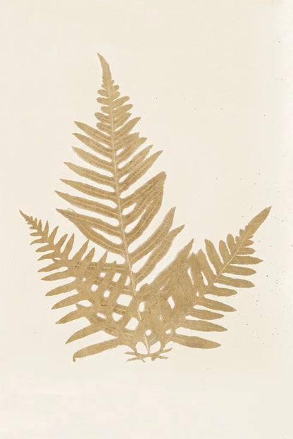 Botanical Fern XI Gold by Wild Apple Portfolio. SKU 57688h. Archival Giclee Fine art print for wall decor.