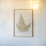 Botanical Fern XI Gold by Wild Apple Portfolio. shown as a paper print in a natural frame. Available as a archival giclee rolled canvas, fine art paper, or poster print. SKU 57688h.