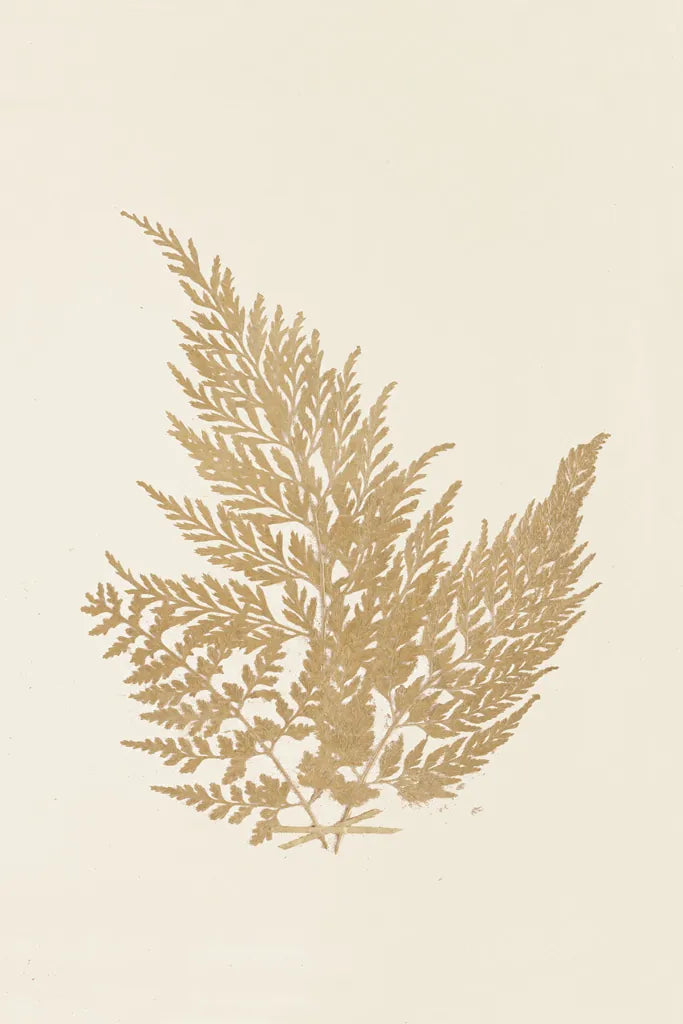 Botanical Fern XVIII Gold by Wild Apple Portfolio. SKU 57689h. Archival Giclee Fine art print for wall decor.