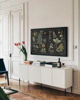 Botanical Floral Chart I Black and White by Wild Apple Portfolio. shown as a framed stretched canvas in a living room above a console. Available as a archival giclee rolled canvas, fine art paper, or poster print. SKU 21975i.