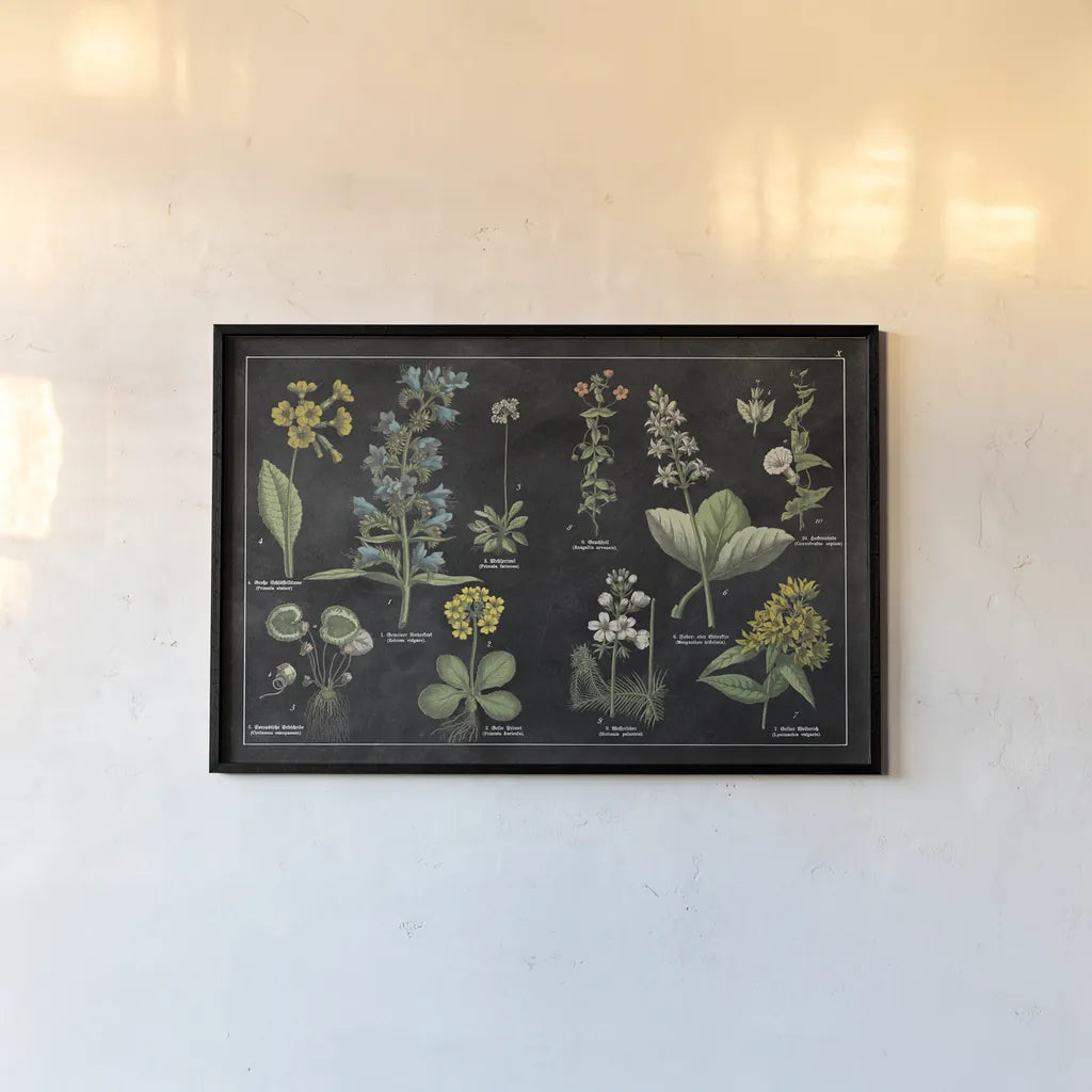 Botanical Floral Chart I Black and White by Wild Apple Portfolio. shown as a paper print in a black flame. Available as a archival giclee rolled canvas, fine art paper, or poster print. SKU 21975i.