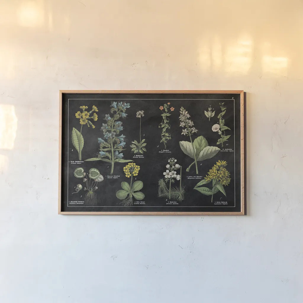 Botanical Floral Chart I Black and White by Wild Apple Portfolio. shown as a paper print in a natural frame. Available as a archival giclee rolled canvas, fine art paper, or poster print. SKU 21975i.