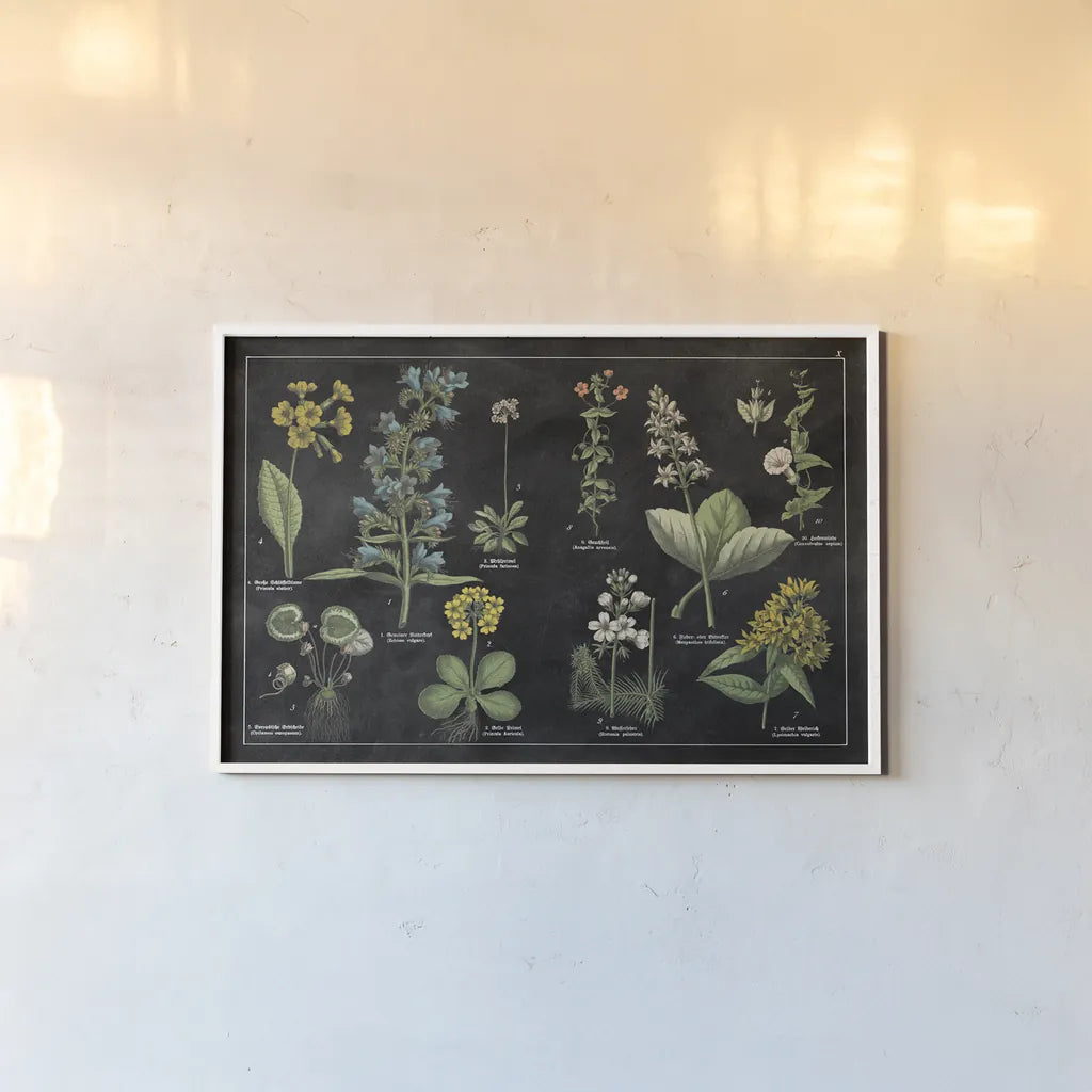 Botanical Floral Chart I Black and White by Wild Apple Portfolio. shown as a paper print in a white frame. Available as a archival giclee rolled canvas, fine art paper, or poster print. SKU 21975i.