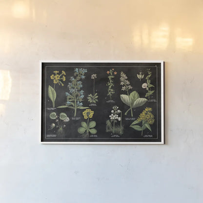 Botanical Floral Chart I Black and White by Wild Apple Portfolio. shown as a paper print in a white frame. Available as a archival giclee rolled canvas, fine art paper, or poster print. SKU 21975i.