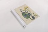 Botanical Print I by Wild Apple Portfolio. shown as a rolled paper print. Available as archival giclee rolled canvas, fine art paper, or poster print. SKU 68201h.