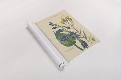 Botanical Print I by Wild Apple Portfolio. shown as a rolled paper print. Available as archival giclee rolled canvas, fine art paper, or poster print. SKU 68201h.