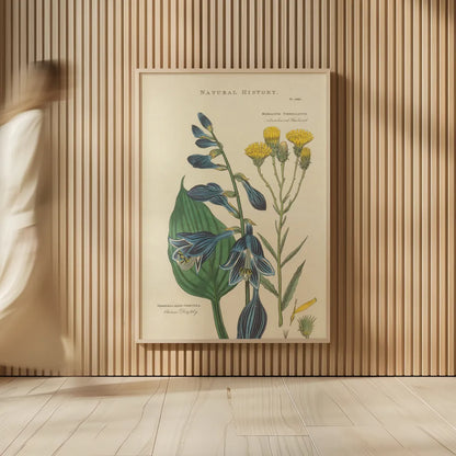 Botanical Print I by Wild Apple Portfolio. shown as over sized large wall art. Available as an archival giclee rolled canvas, fine art paper, or poster print. SKU 68201h.