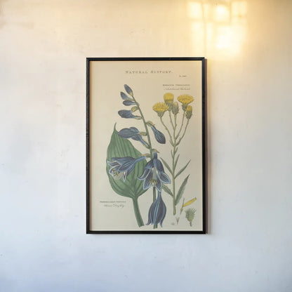 Botanical Print I by Wild Apple Portfolio. shown as a paper print in a black flame. Available as a archival giclee rolled canvas, fine art paper, or poster print. SKU 68201h.