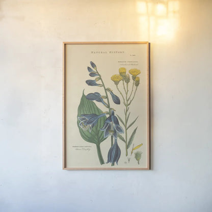 Botanical Print I by Wild Apple Portfolio. shown as a paper print in a natural frame. Available as a archival giclee rolled canvas, fine art paper, or poster print. SKU 68201h.