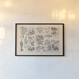 Botanik I Vintage by Wild Apple Portfolio. shown as a paper print in a black flame. Available as a archival giclee rolled canvas, fine art paper, or poster print. SKU 48457i.