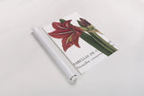 Botanique I by Wild Apple Portfolio. shown as a rolled paper print. Available as archival giclee rolled canvas, fine art paper, or poster print. SKU 1880h.