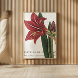Botanique I by Wild Apple Portfolio. shown as over sized large wall art. Available as an archival giclee rolled canvas, fine art paper, or poster print. SKU 1880h.