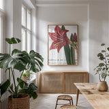 Botanique I by Wild Apple Portfolio. shown as a print in a natural wood frame in a dining room. Available as a archival giclee rolled canvas, fine art paper, or poster print. SKU 1880h.