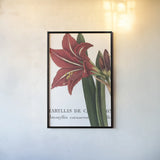 Botanique I by Wild Apple Portfolio. shown as a paper print in a black flame. Available as a archival giclee rolled canvas, fine art paper, or poster print. SKU 1880h.