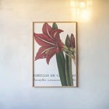 Botanique I by Wild Apple Portfolio. shown as a paper print in a natural frame. Available as a archival giclee rolled canvas, fine art paper, or poster print. SKU 1880h.
