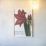 Botanique I by Wild Apple Portfolio. shown as a paper print in a white frame. Available as a archival giclee rolled canvas, fine art paper, or poster print. SKU 1880h.
