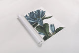 Botanique II no Words by Wild Apple Portfolio. shown as a rolled paper print. Available as archival giclee rolled canvas, fine art paper, or poster print. SKU 25342h.