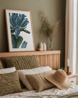 Botanique II no Words by Wild Apple Portfolio. shown as a paper print in a natural frame. Available as a archival giclee rolled canvas, fine art paper, or poster print. SKU 25342h.